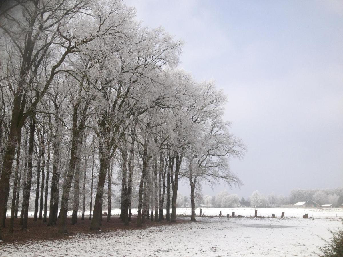 Erve Iemhorst Bed & Breakfast Losser Bagian luar foto